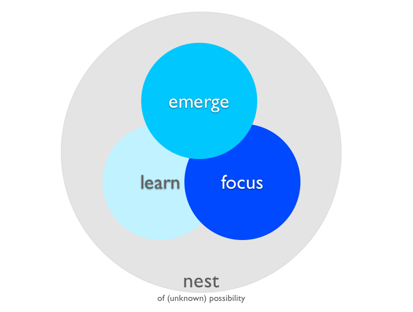 Focus learn and emerge nest 2.044