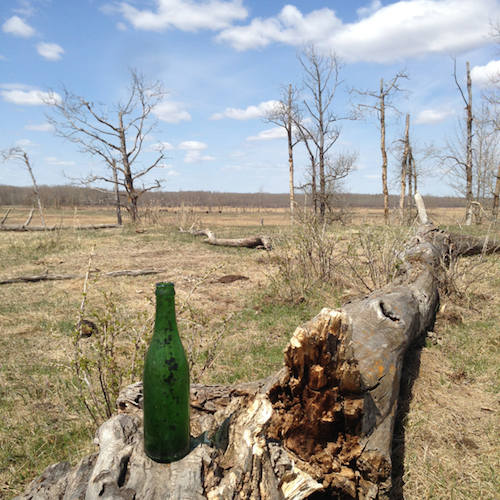 the bottle in the field